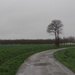Follow the Patchwork Road by s4sayer