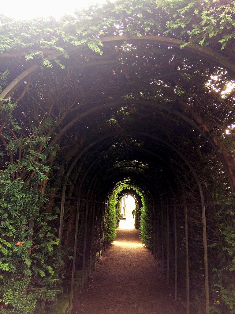 Green arch by sabresun