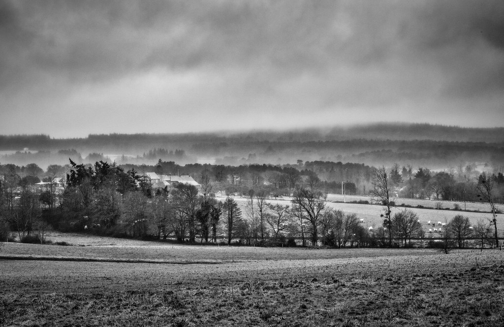 PLAY March - Fuji 60mm f/2.4: Misty Afternoon by vignouse