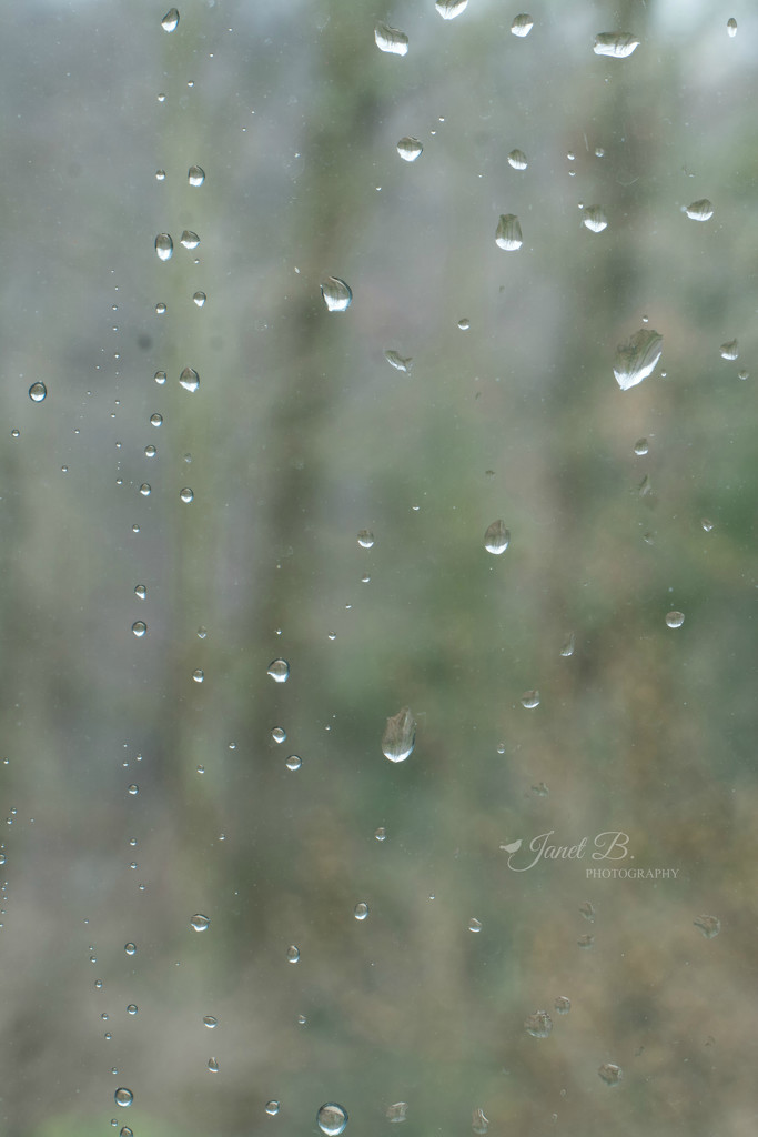 Rain by janetb