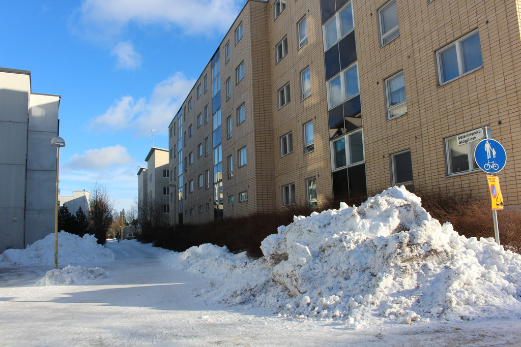 Winter in Korso, Vantaa by annelis