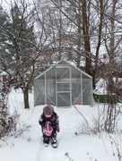 26th Feb 2017 - Greenhouse in winter