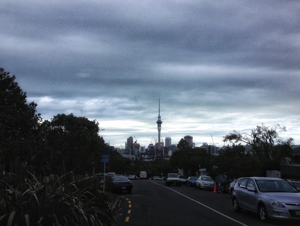 Downtown Auckland from Ponsonby by happypat