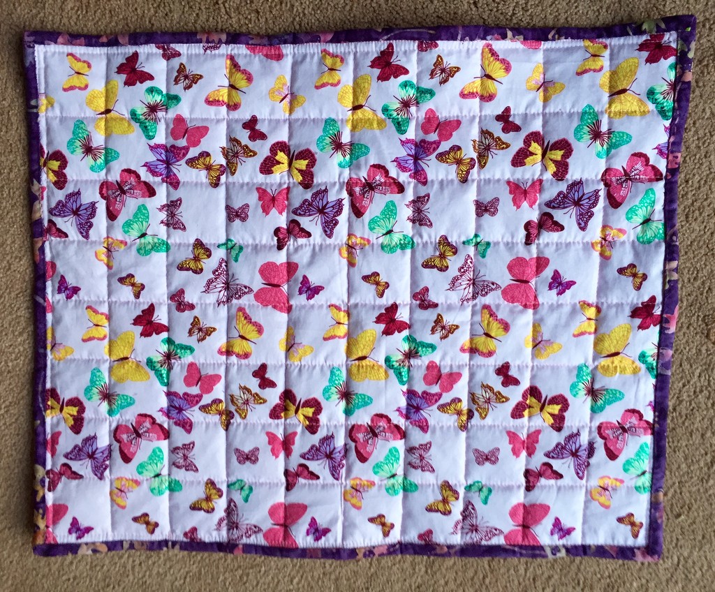 Butterfly Quilt by gillian1912