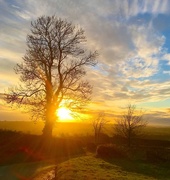 8th Mar 2017 - Cotswold sunset 