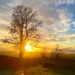 Cotswold sunset  by 365projectdrewpdavies