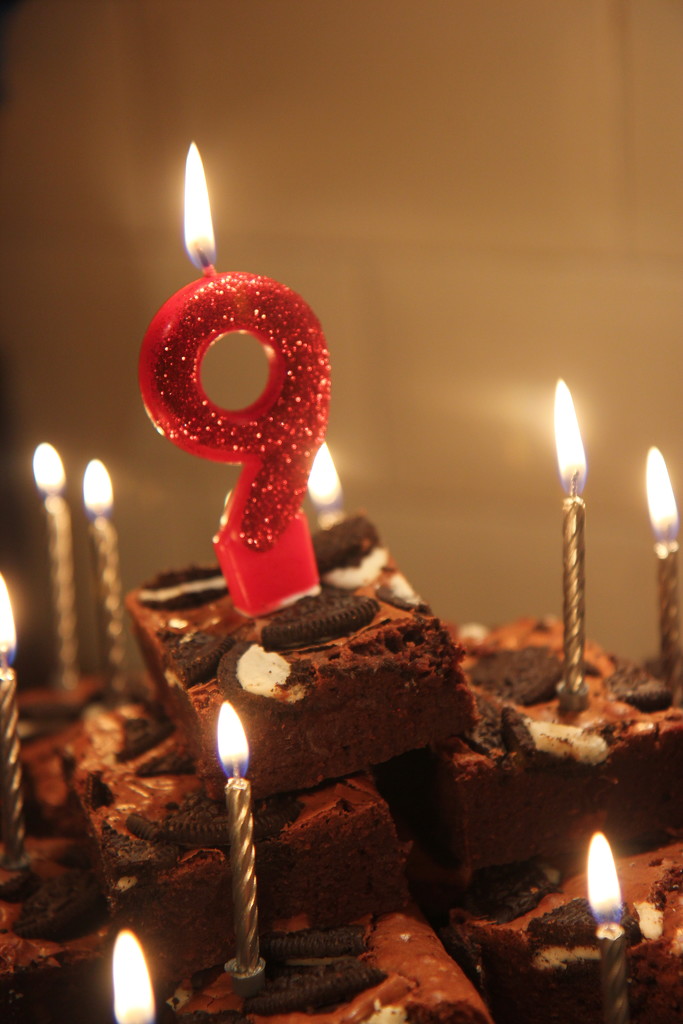 Birthday Brownies by cookingkaren