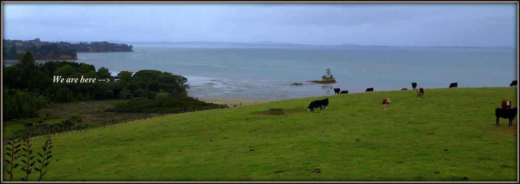 Manukau Harbour by dide