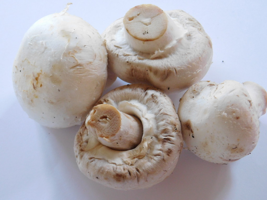  High key mushrooms Food 3 by 365anne