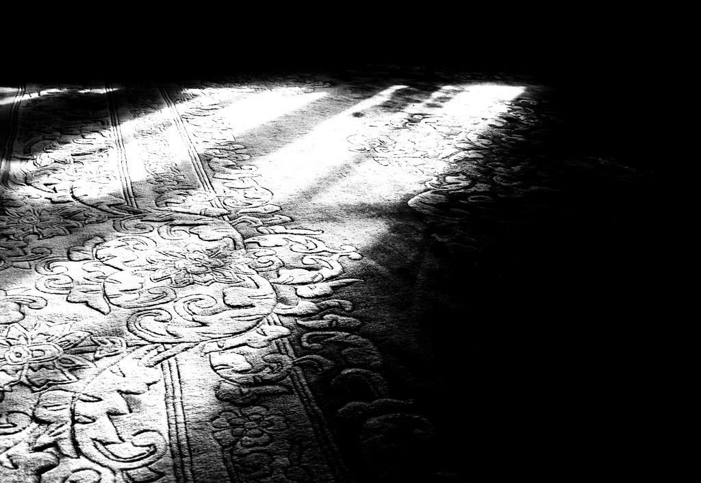shadows by ianmetcalfe