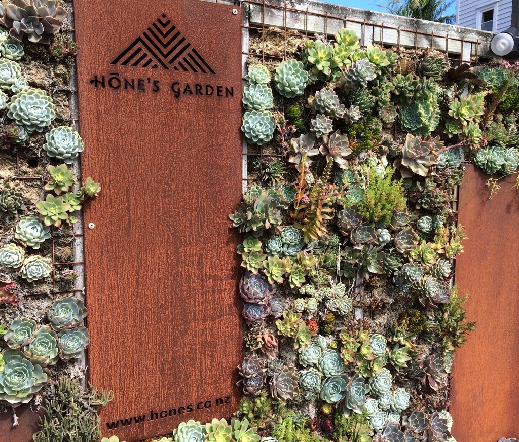 Hones wall garden by Dawn