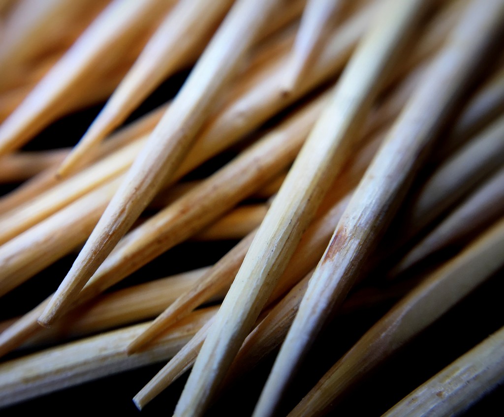 Day 190:  Toothpicks by sheilalorson