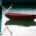 Seagull and Boat by yaorenliu