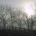 Breaking Through the Fog by genealogygenie