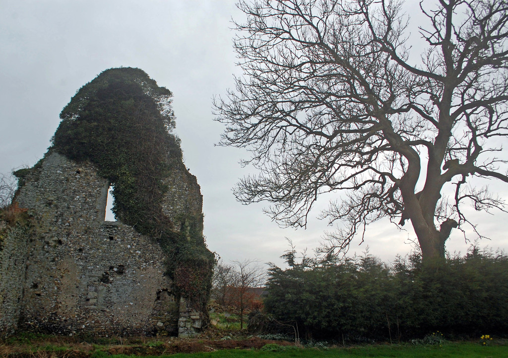 St Radigund's Ruins by fbailey