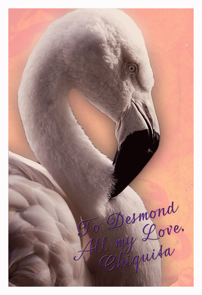 Love Bird by Weezilou