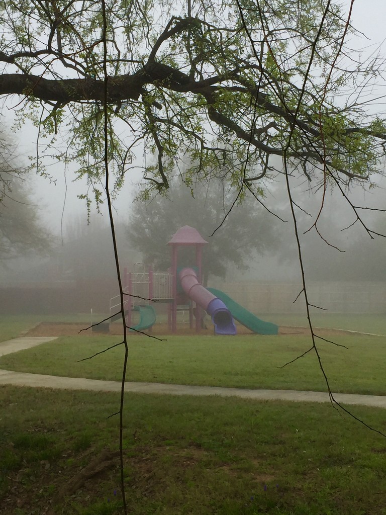 Foggy slide by louannwarren