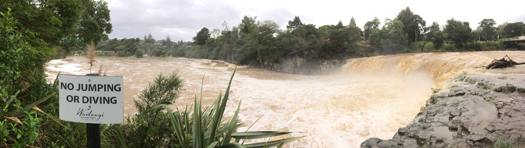 Haruru Falls very swollen  by Dawn