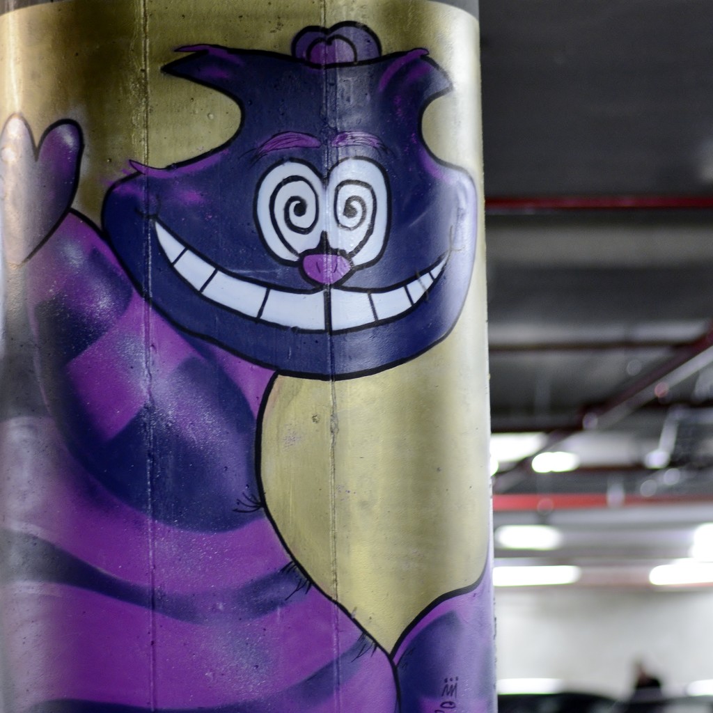 A Smiling Cheshire Cat....._DSC4455 by merrelyn