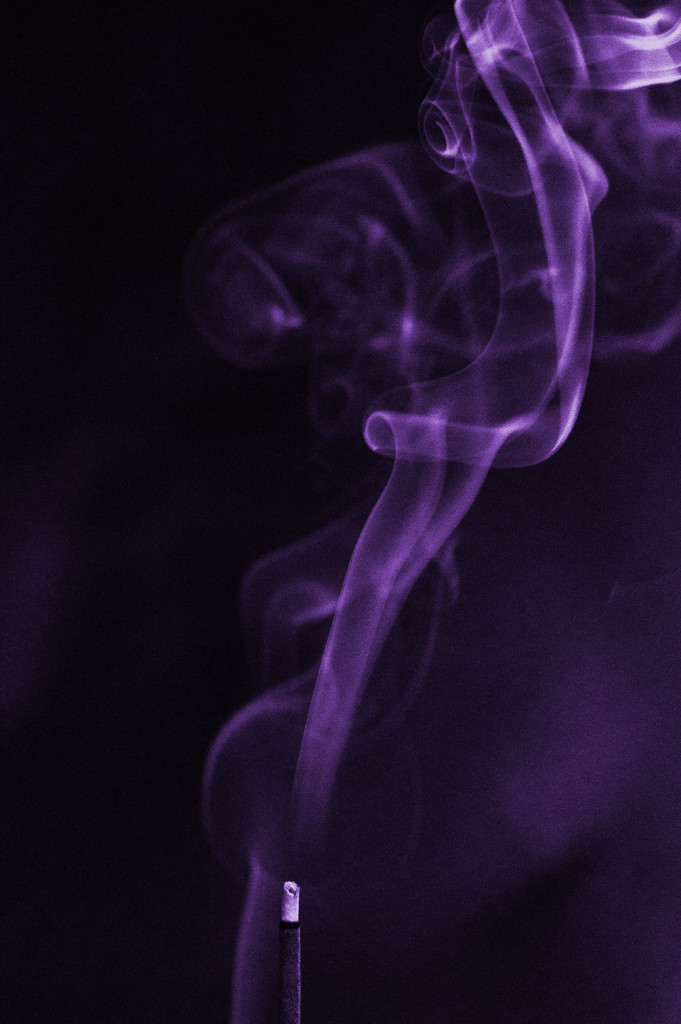Purple Haze by dianen