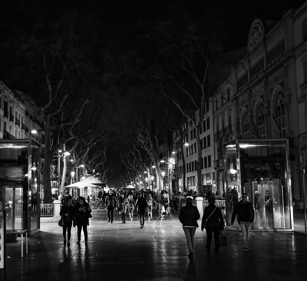 Evening rambles on La Rambla in Barcelona by cristinaledesma33