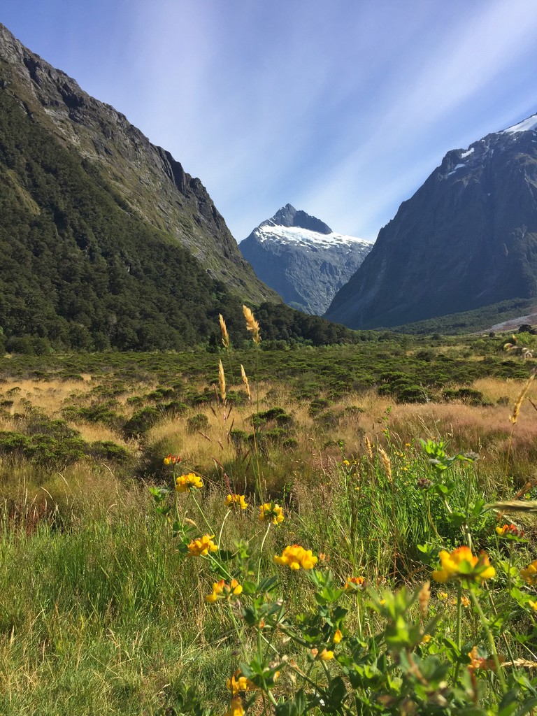 The Road To Milford Sound by teodw