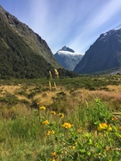 11th Mar 2017 - The Road To Milford Sound