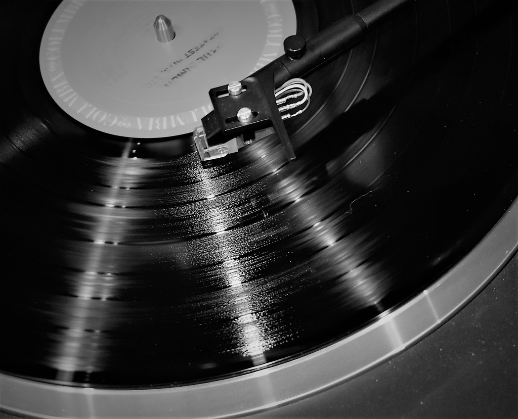 Vinyl by caitnessa