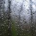 Day 66: Rain  by jeanniec57