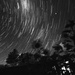starry starry night by kali66