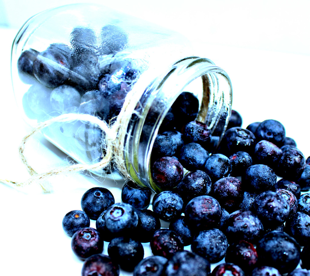 Blueberries. by wendyfrost