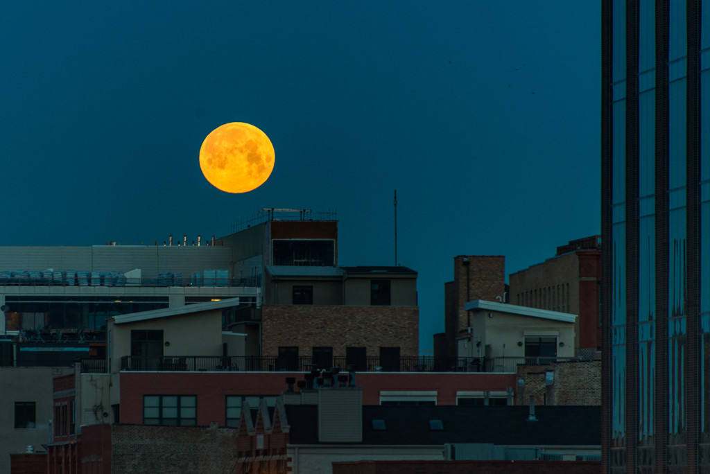 Early Morning Moon Over Fulton Street by taffy