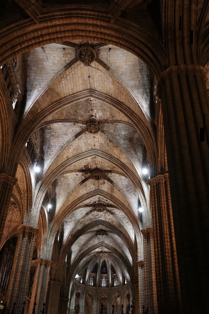 Cathedral of Barcelona by cristinaledesma33