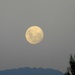 I see a big moon rising....... by ludwigsdiana