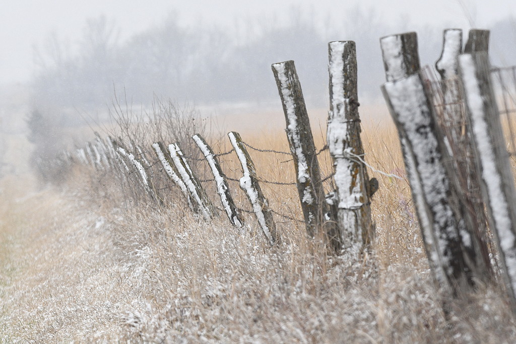 Snow Fence by kareenking
