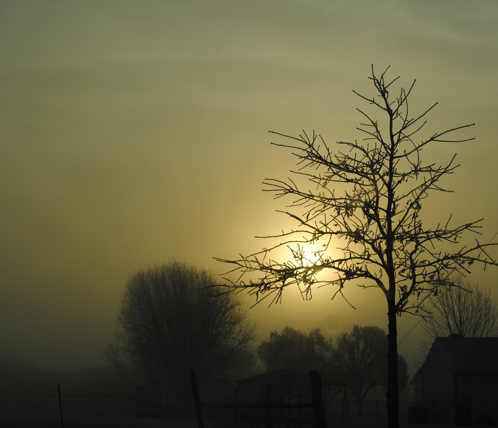 Shrouded by Fog by genealogygenie