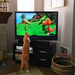Kitty TV by yogiw