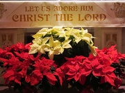 24th Dec 2010 - Christmas Eve Mass