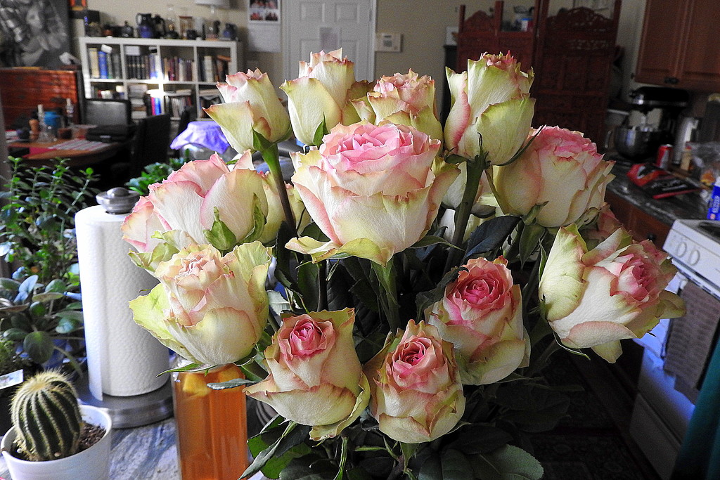 Two dozen roses! by homeschoolmom