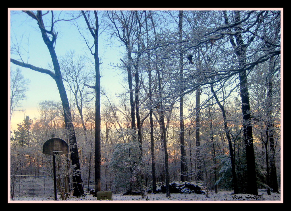 Morning Snowfall by vernabeth