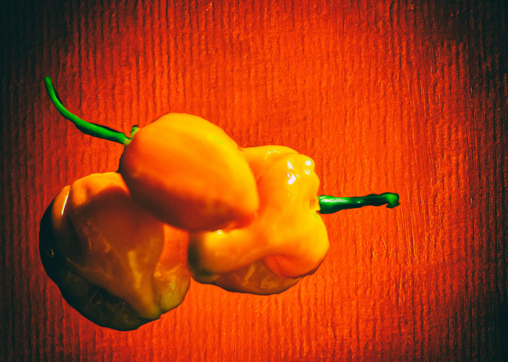Habanero Orange by annied