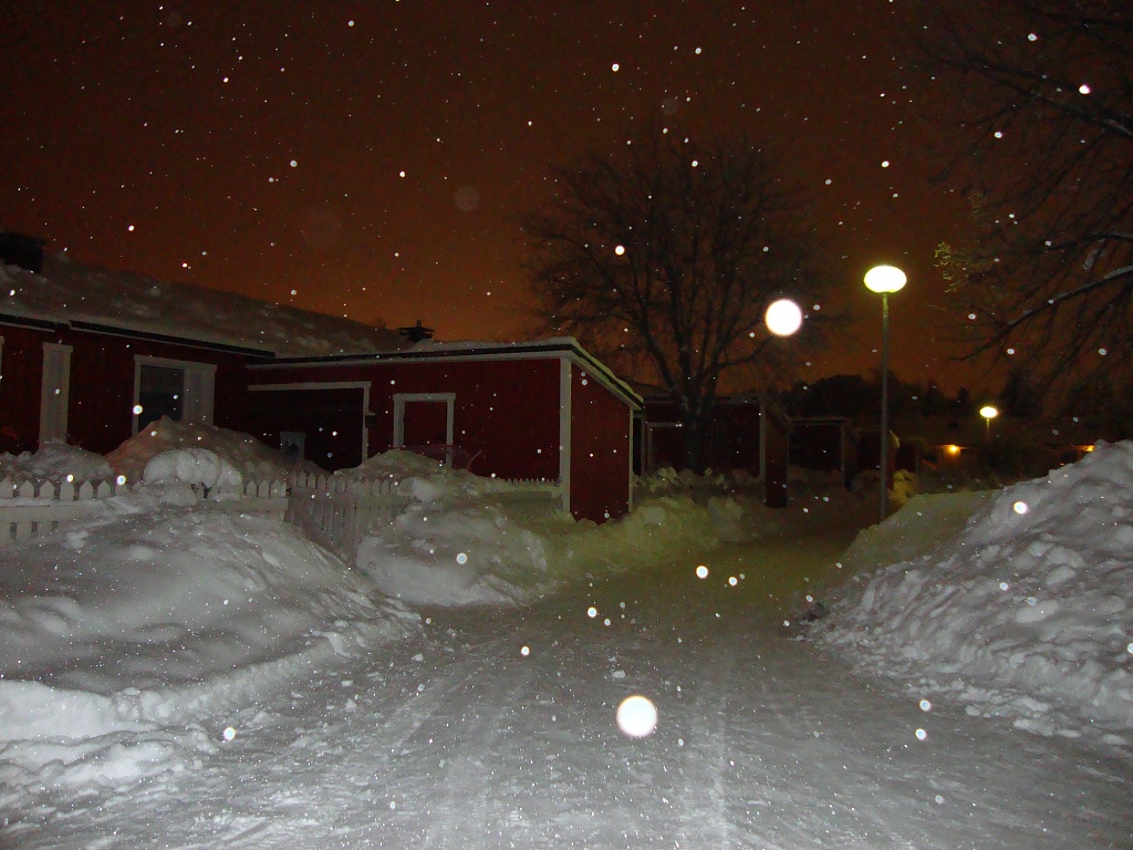 365-Snowing on Jaakkolanpiha DSC00796 by annelis