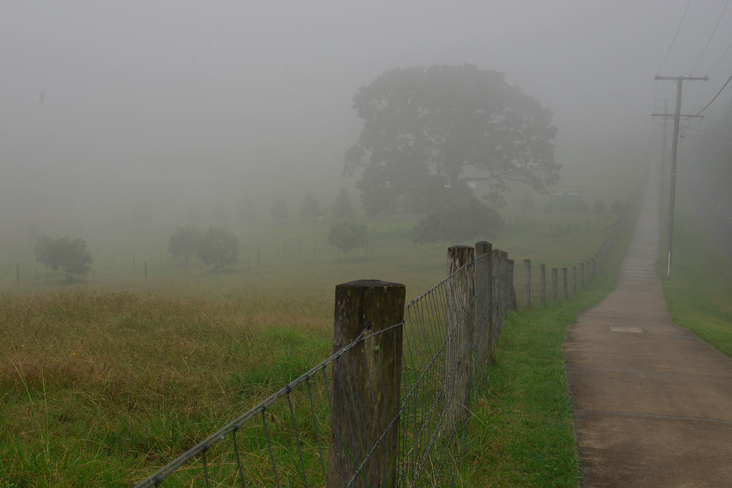 Maleny mist by jeneurell