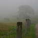 Maleny mist by jeneurell