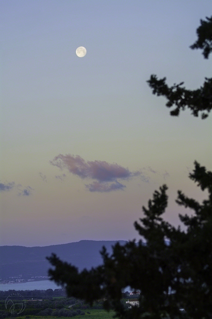 Pastel Moon by evalieutionspics