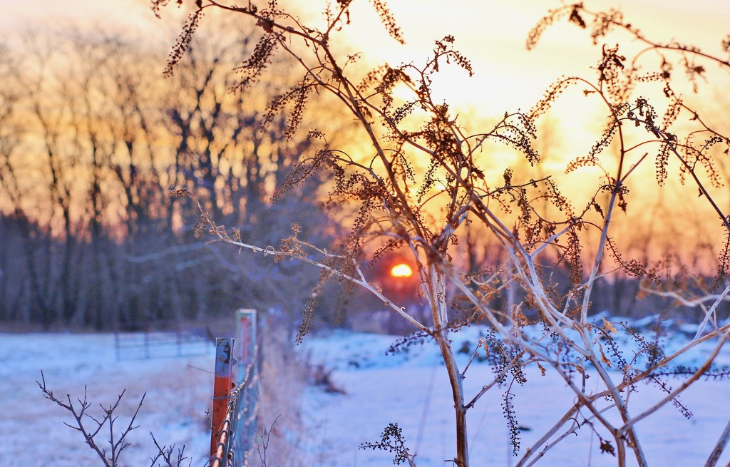 country sunrise by lynnz
