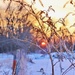 country sunrise by lynnz