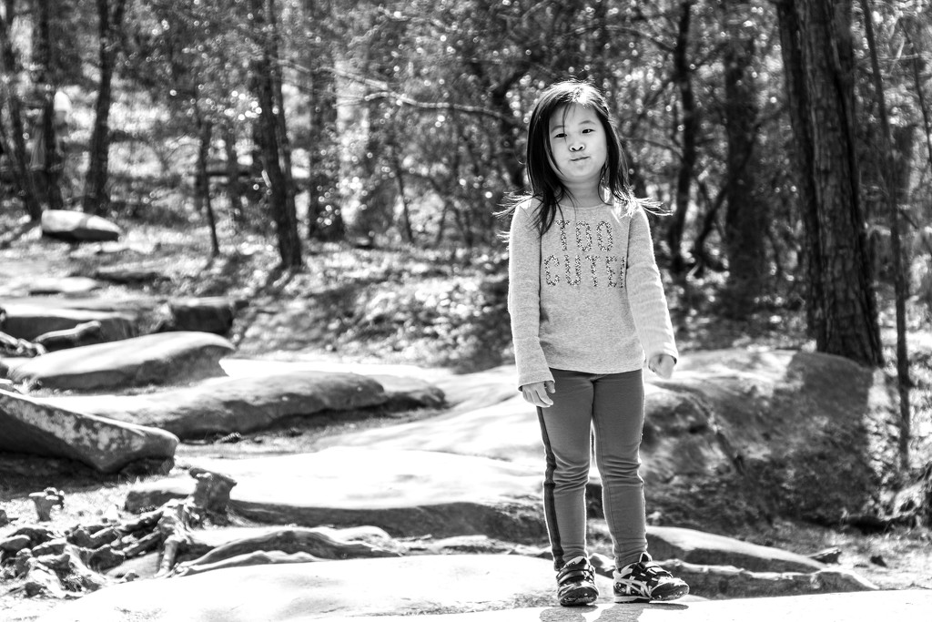 I Caught "Too Cute" on the Trail up Stone Mountain by darylo