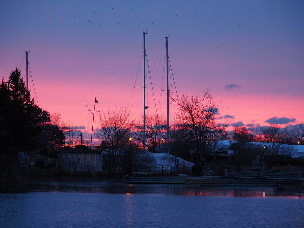 Pink Sky in the Morning by selkie