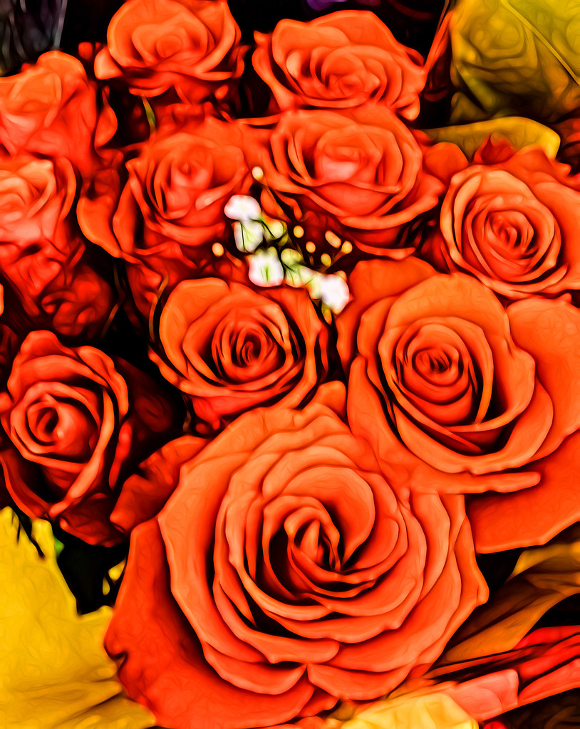 Orange #2  roses by randystreat